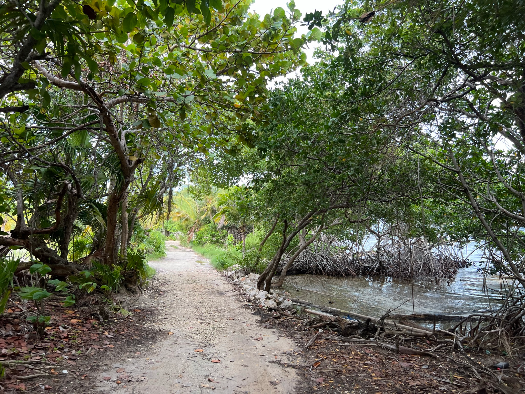 IMG_7266