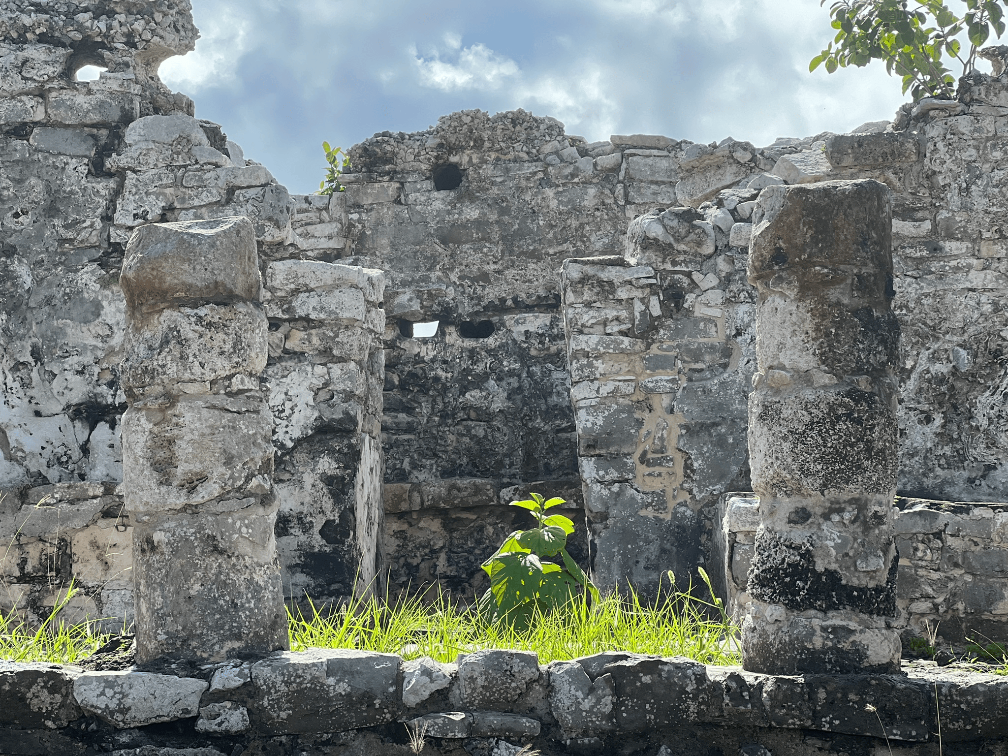 House of the Cenotes