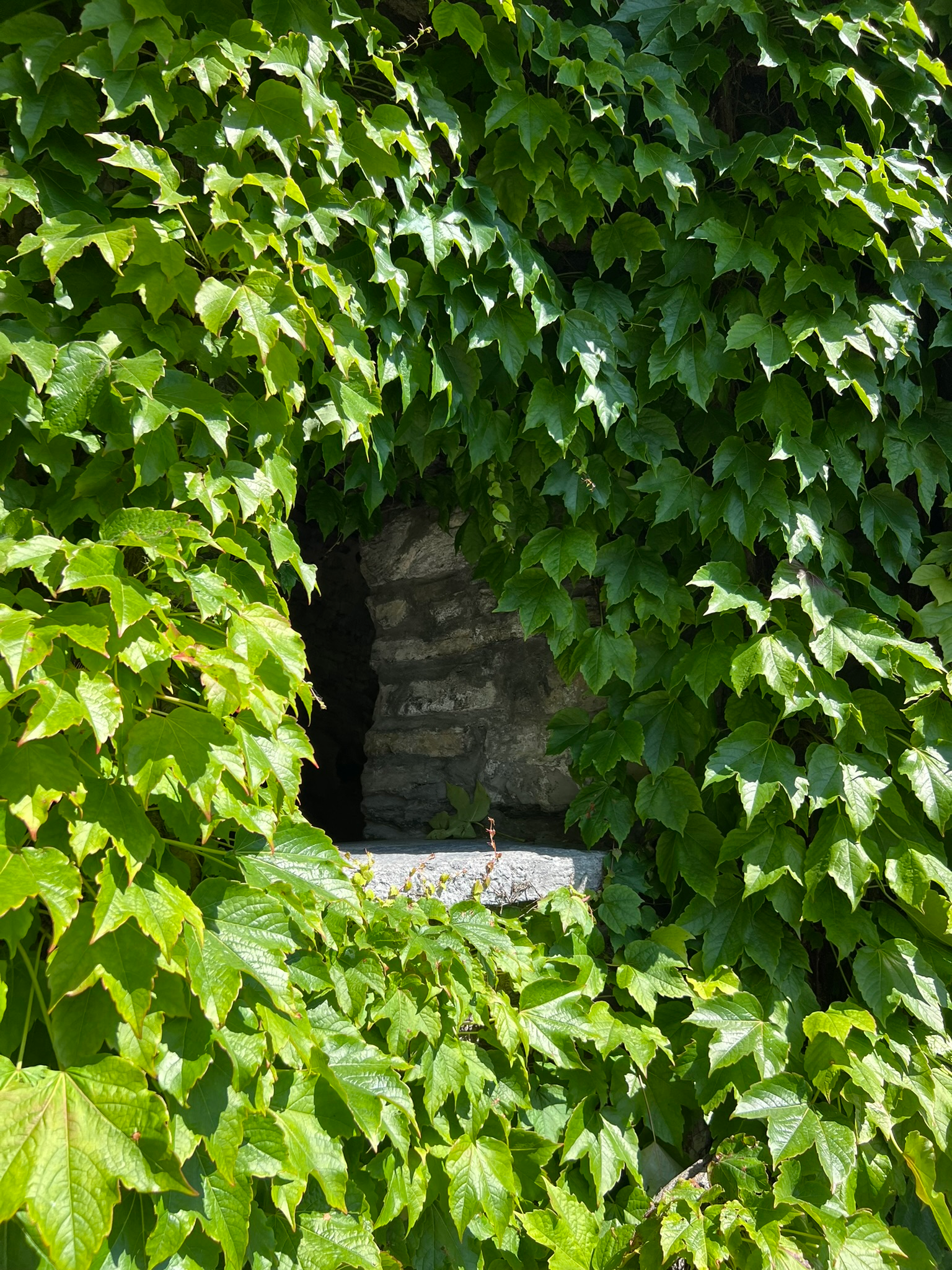 IMG_9634