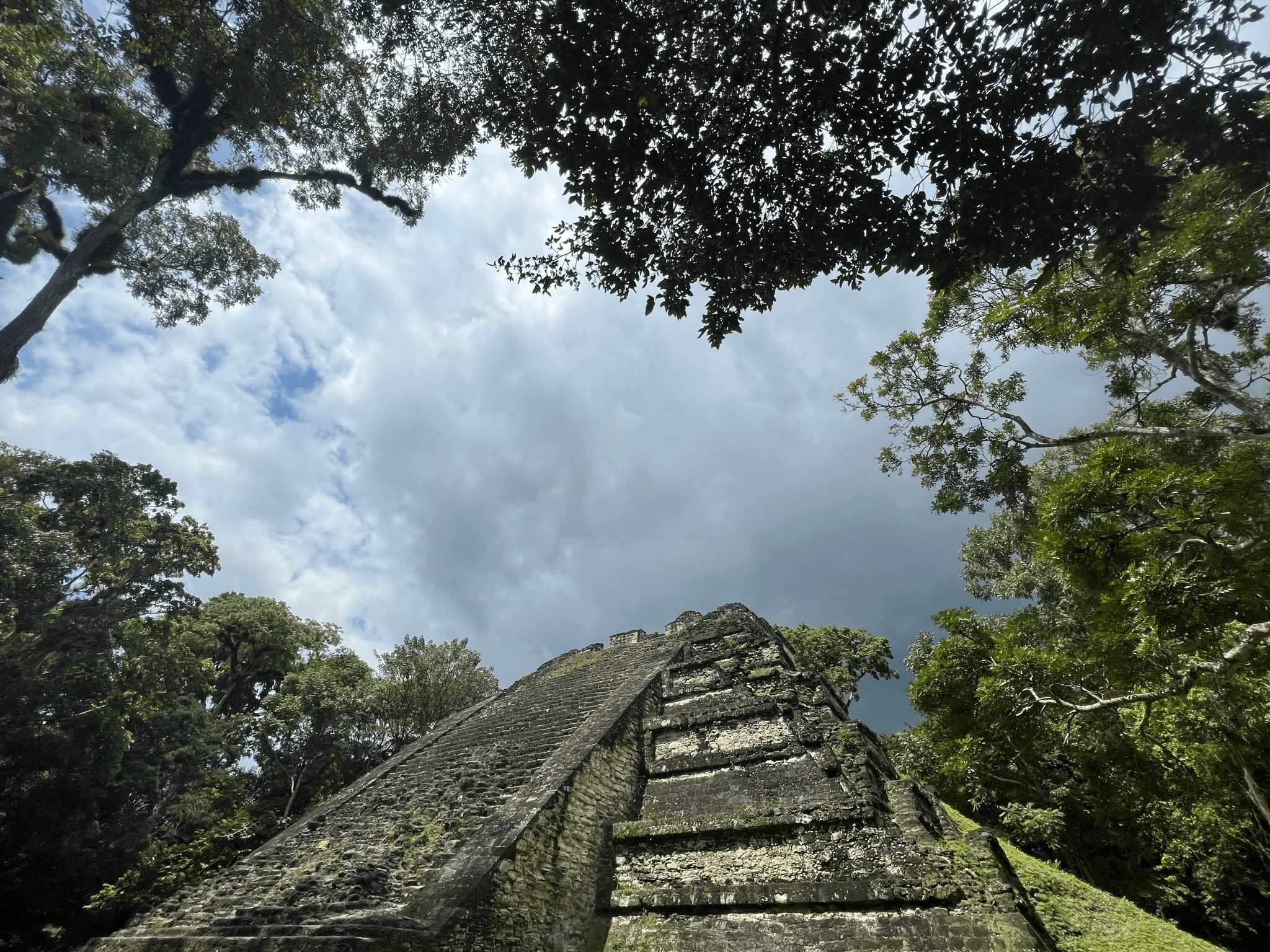 Temple V