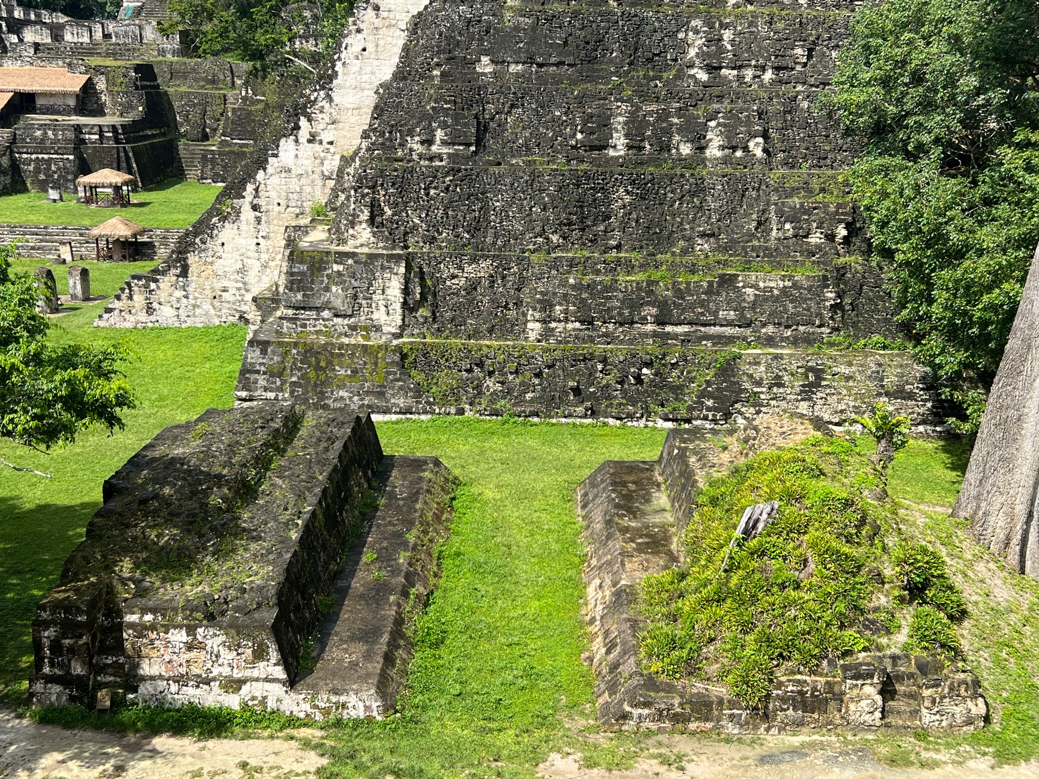 IMG_8919
