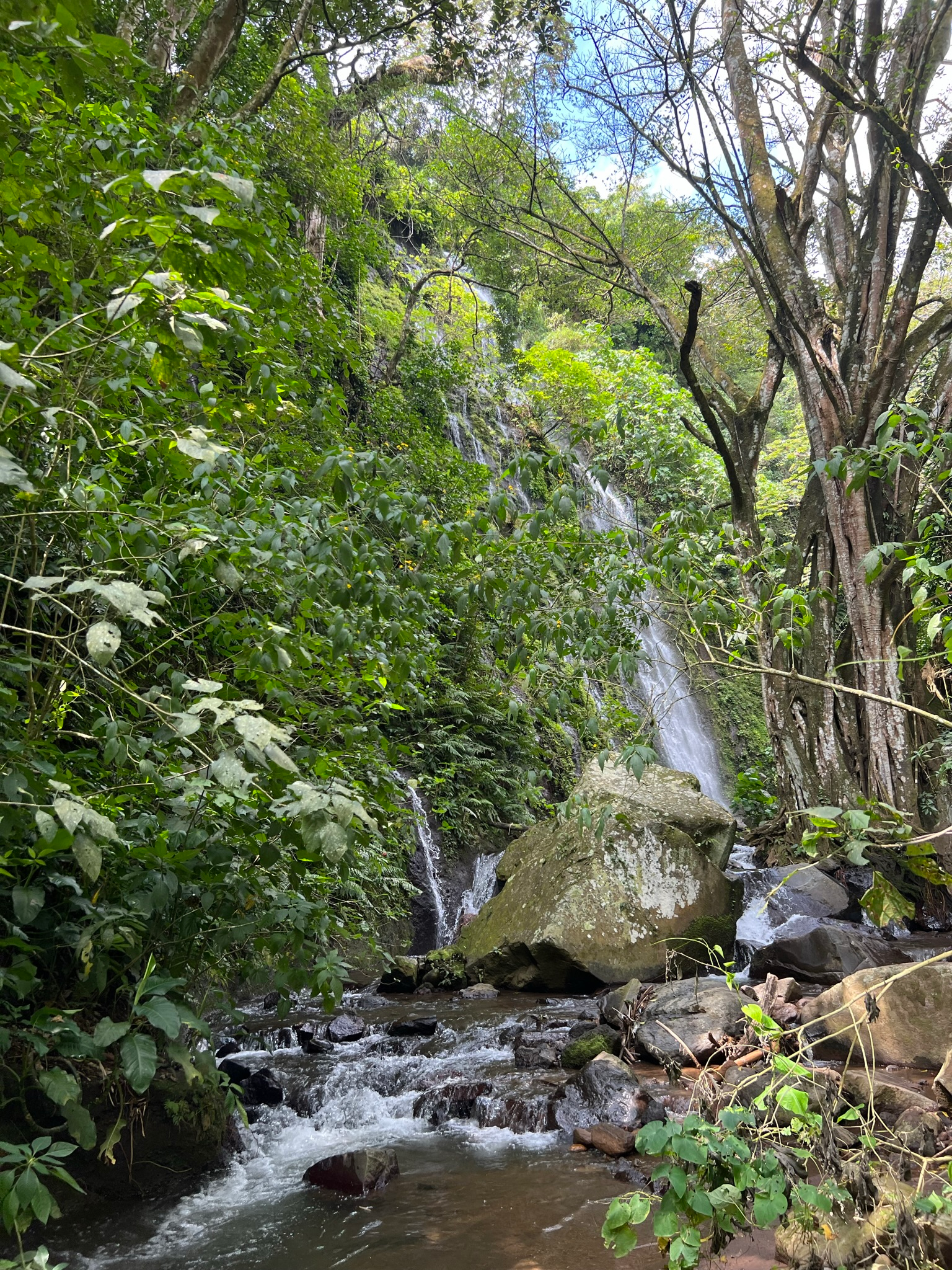 First Waterfall