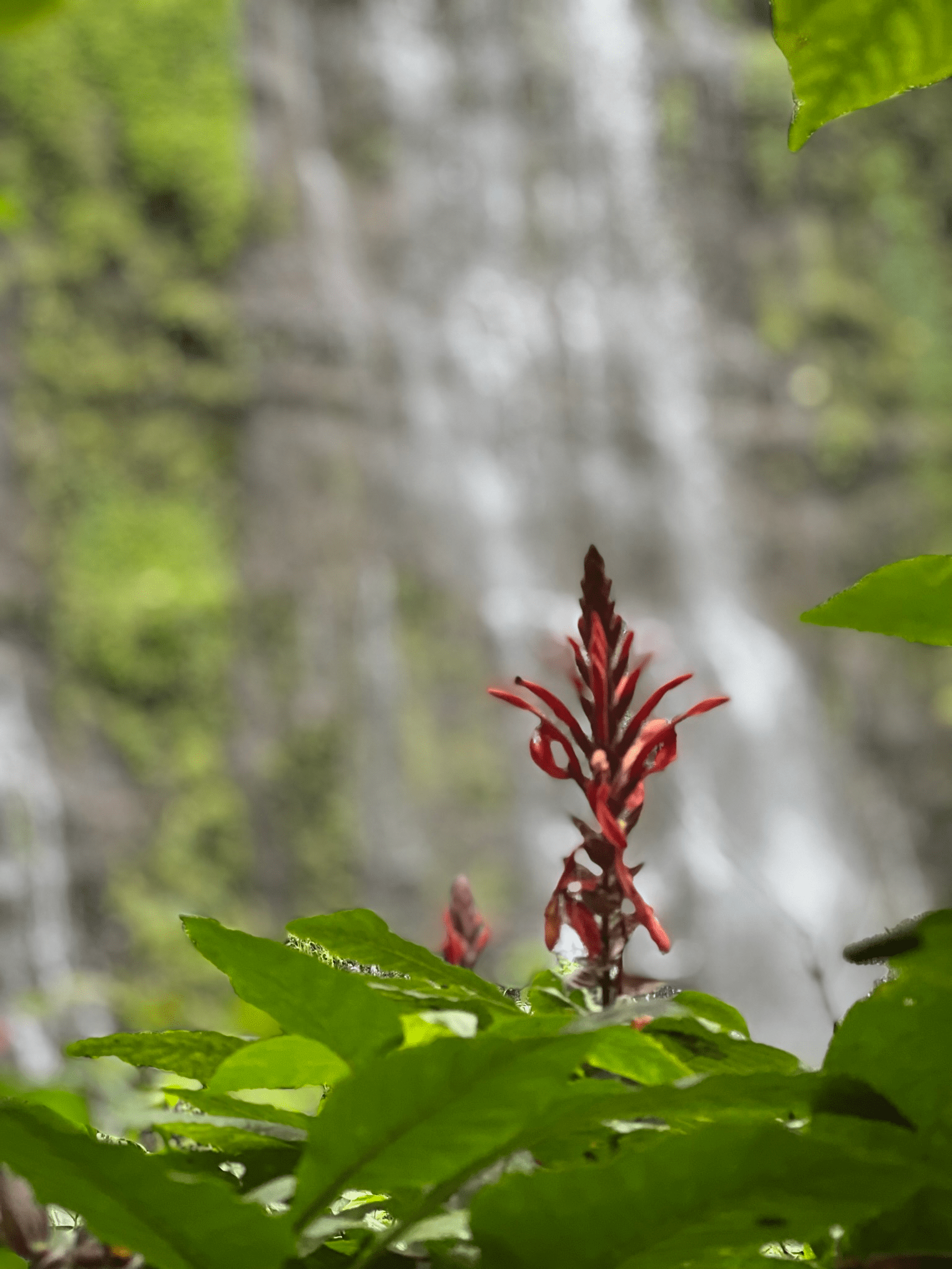 Second Waterfall