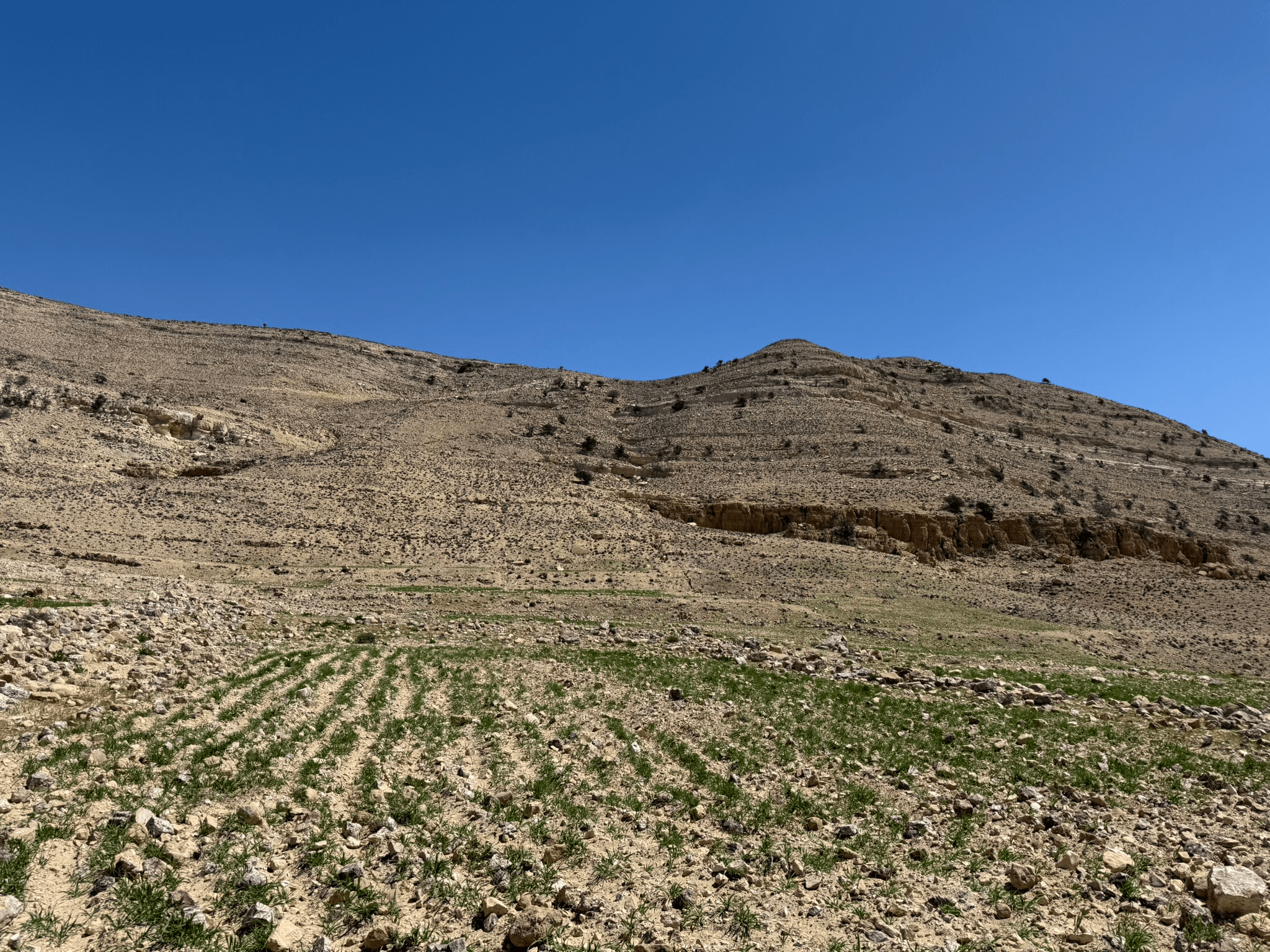 IMG_3558