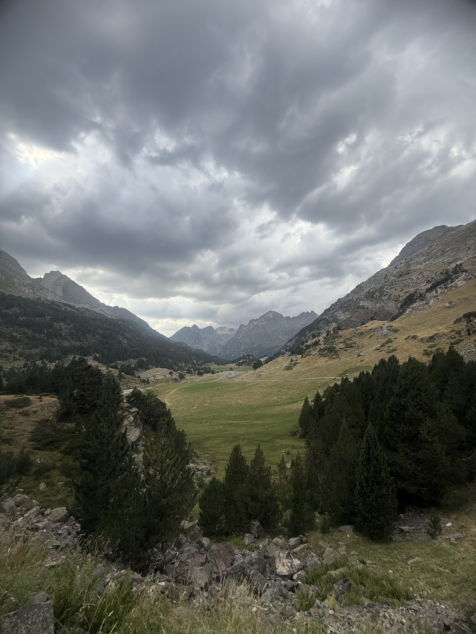 IMG_5494