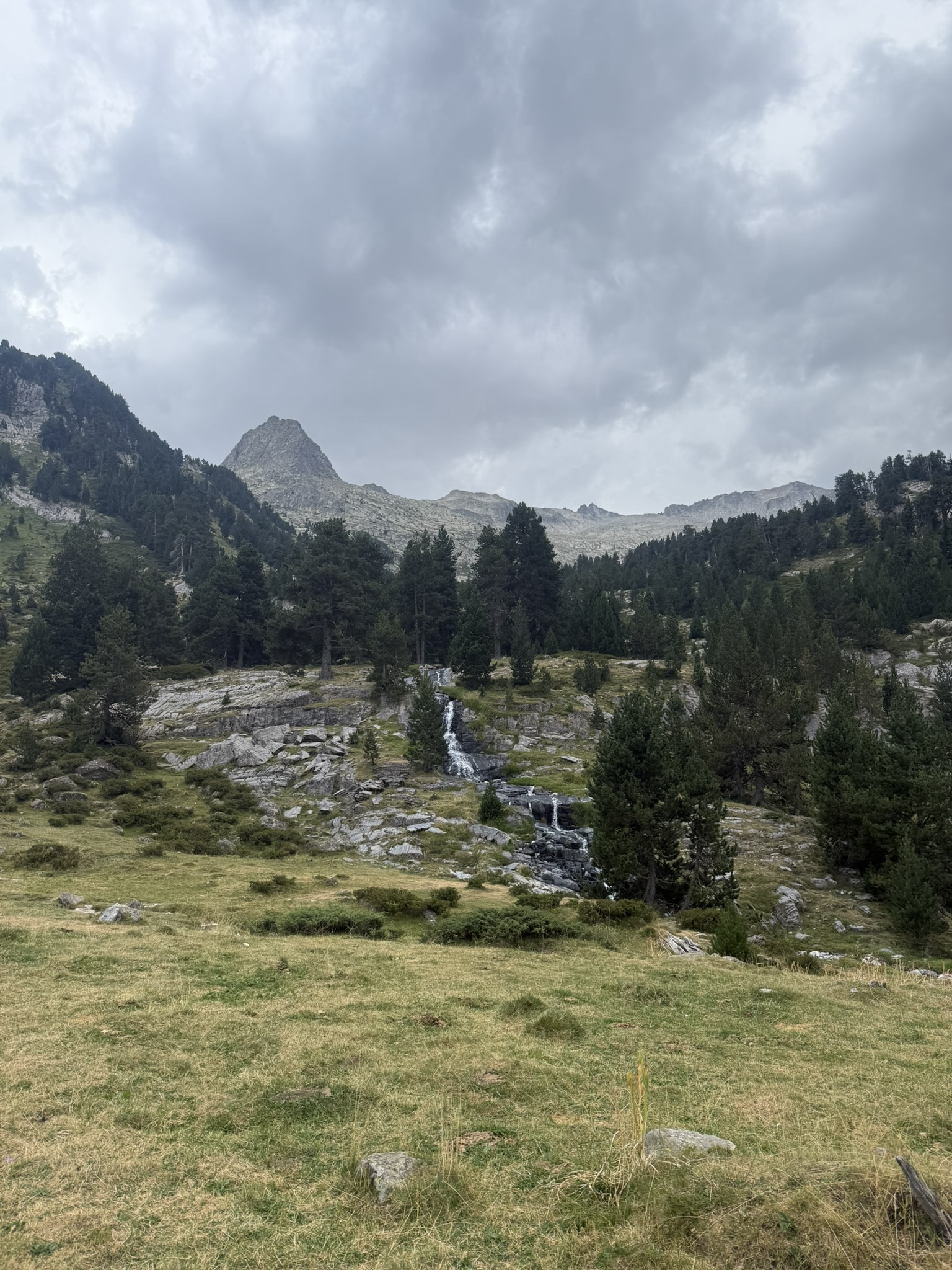 IMG_5505