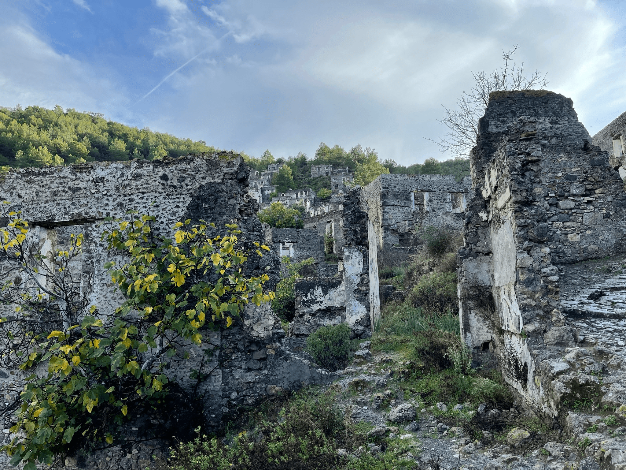 IMG_6632
