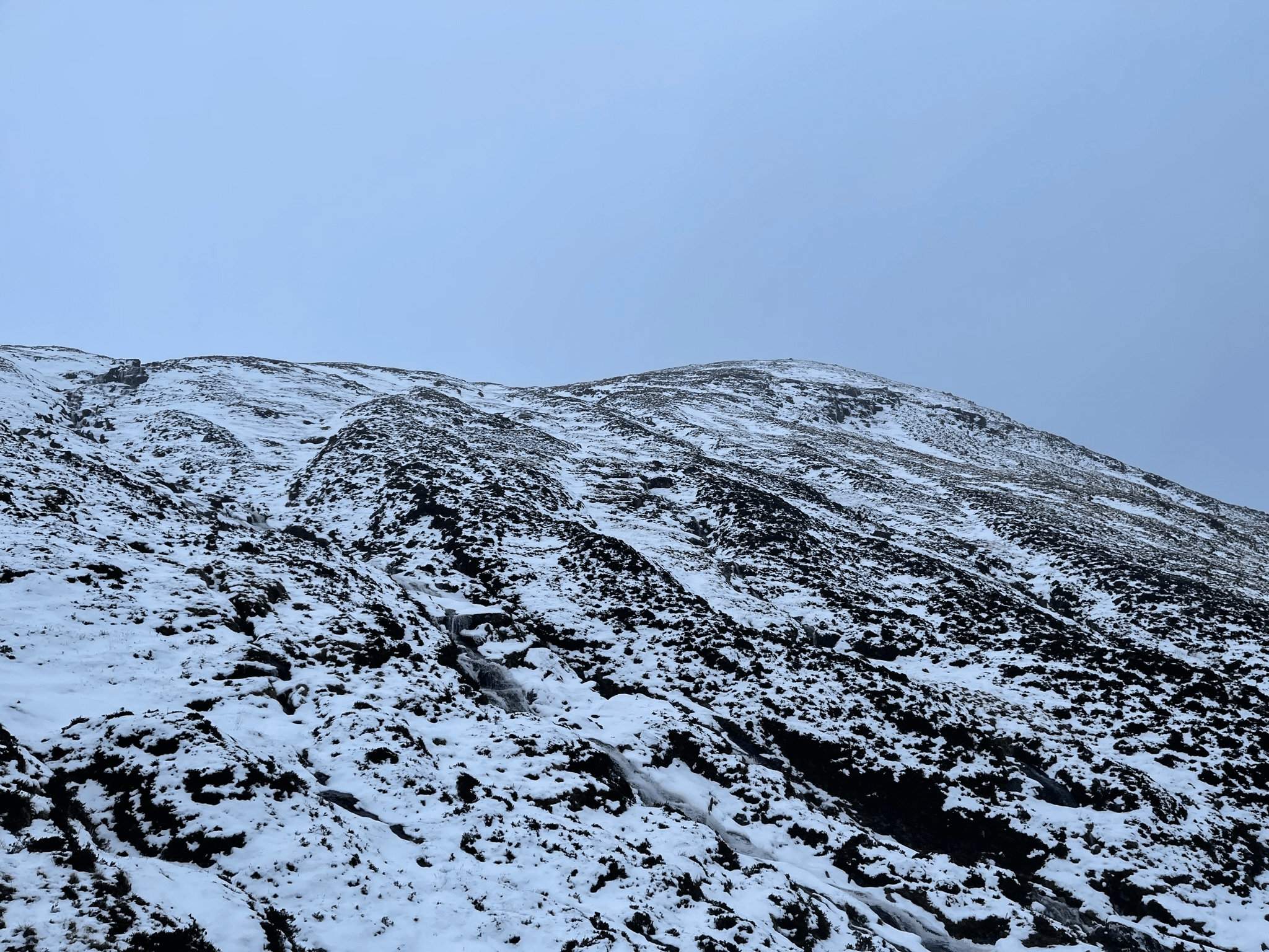 IMG_8643