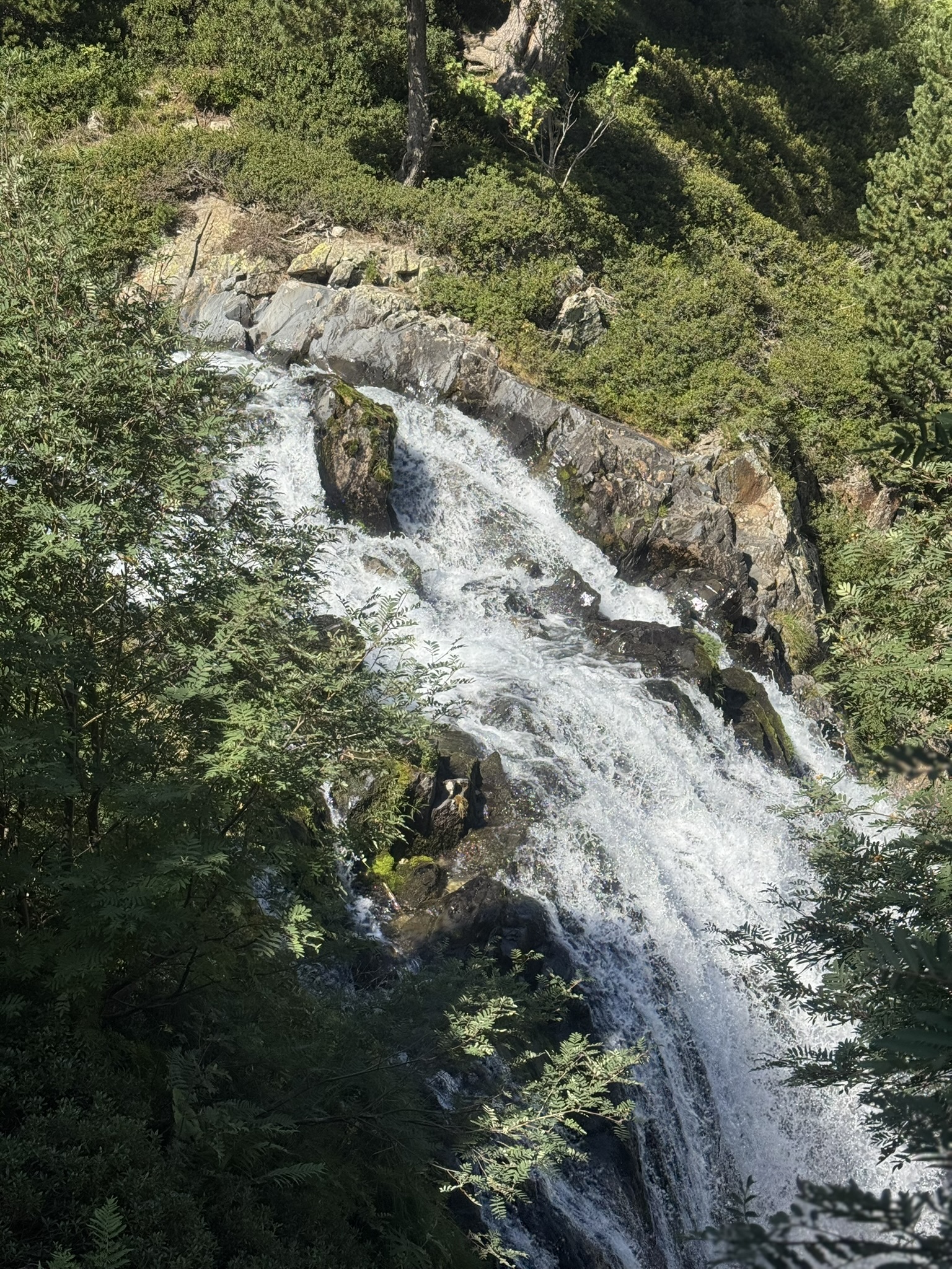 IMG_5983