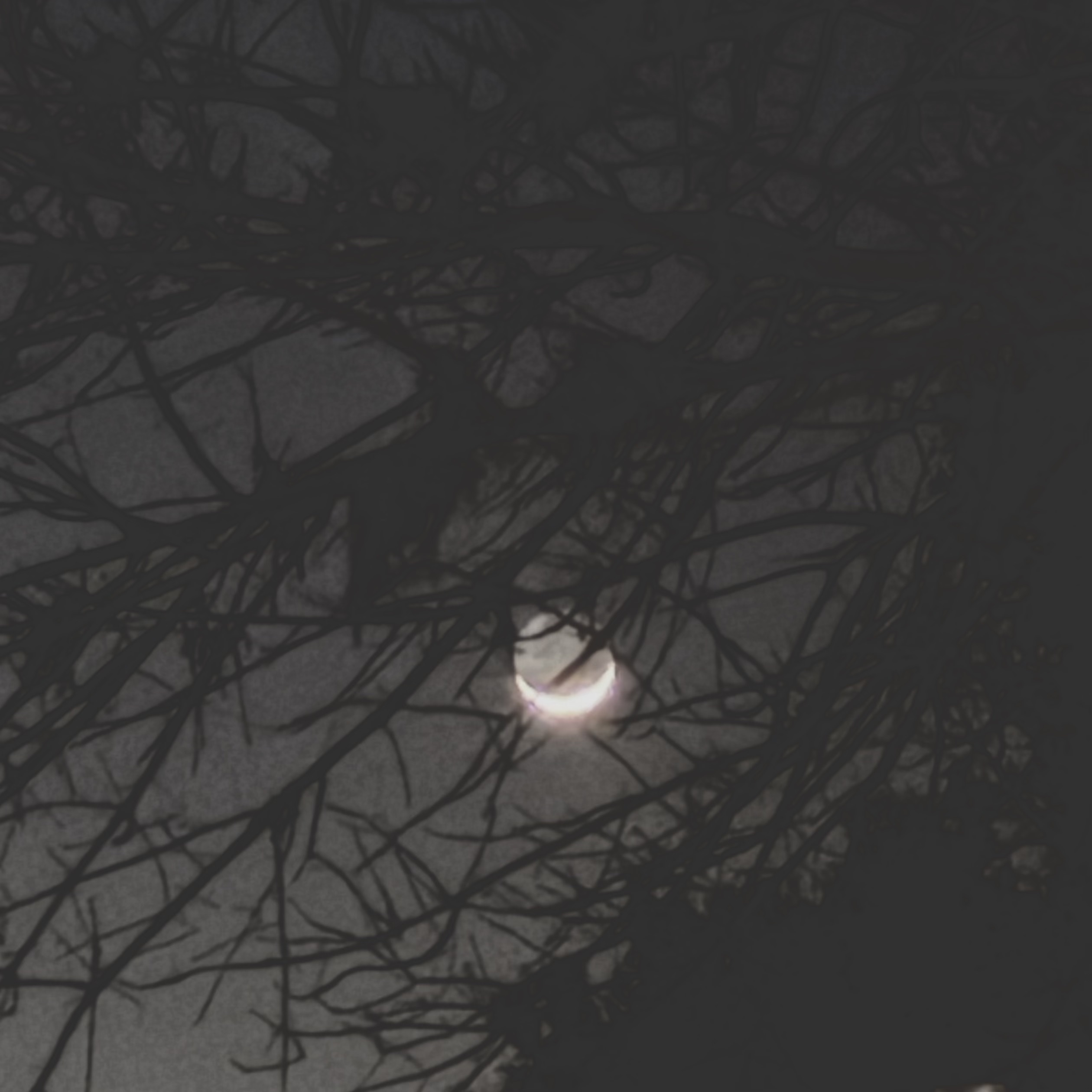 New Moon Solar Eclipse in Aries – March 29th, 2025 – The Portal to Becoming You