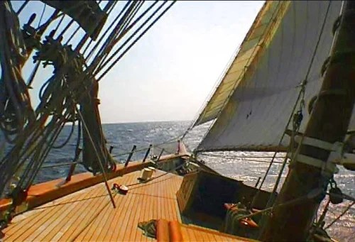 Zaca1