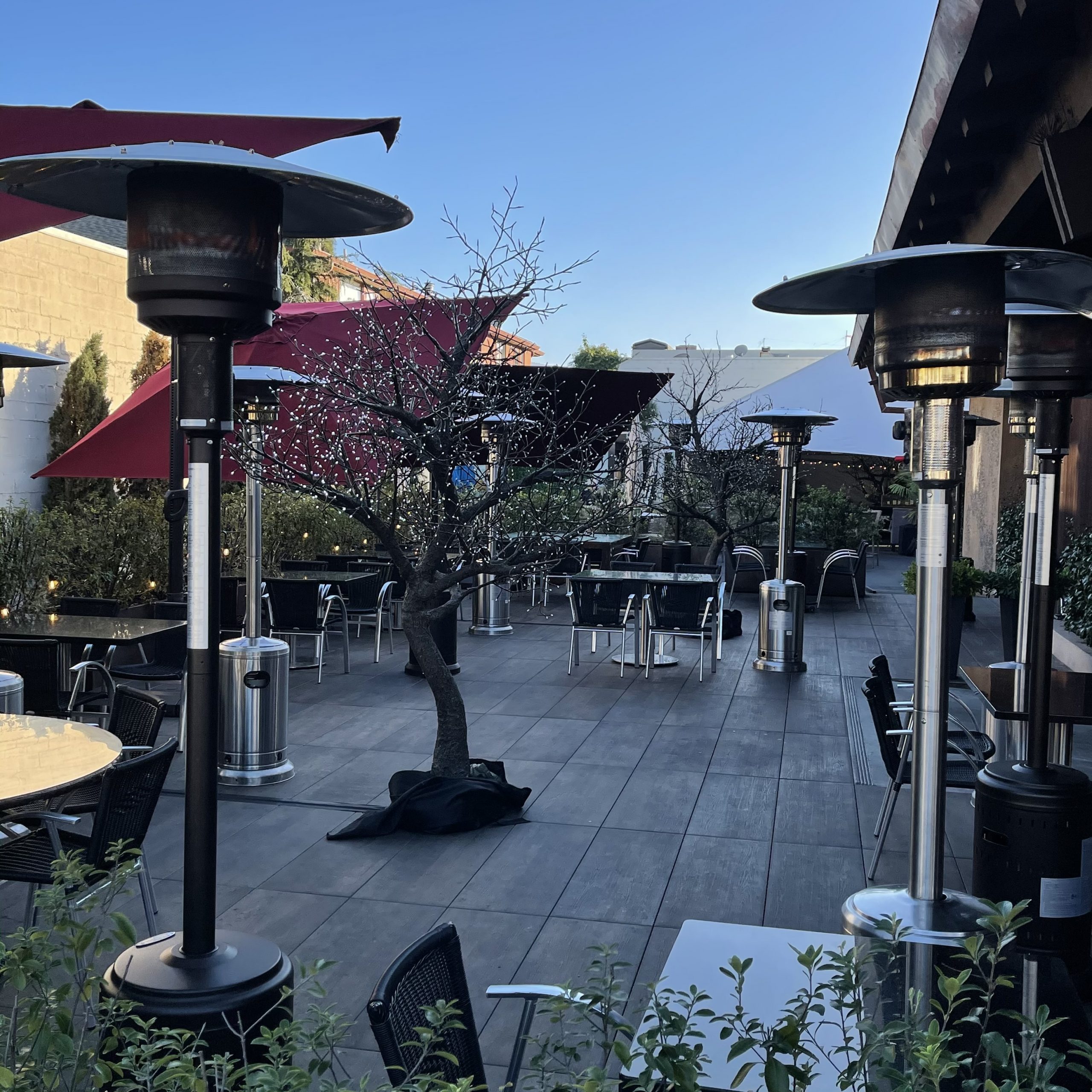 Seventh And Dolores Steakhouse - r949u4p