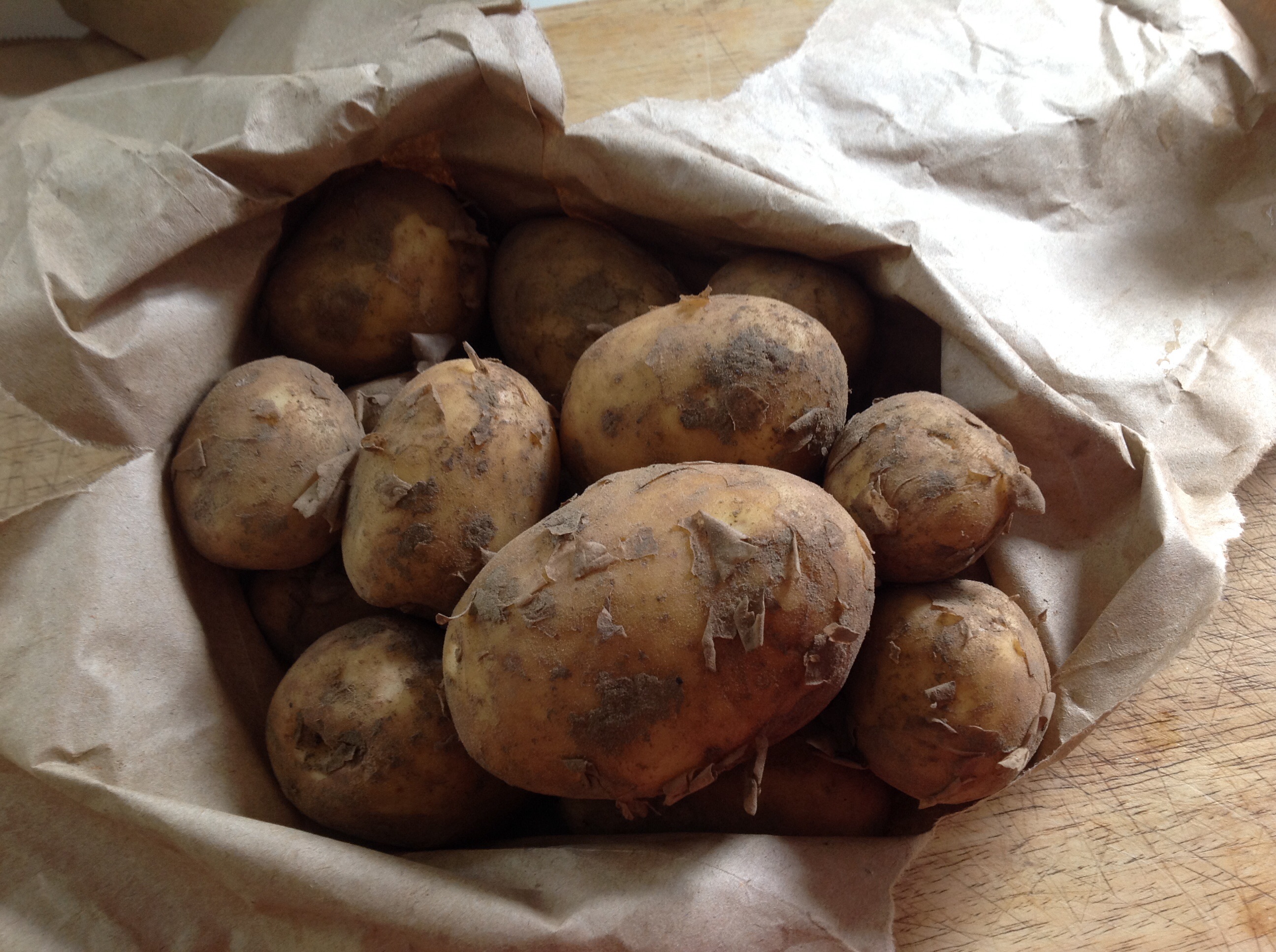 Organic Muddy New Potatoes