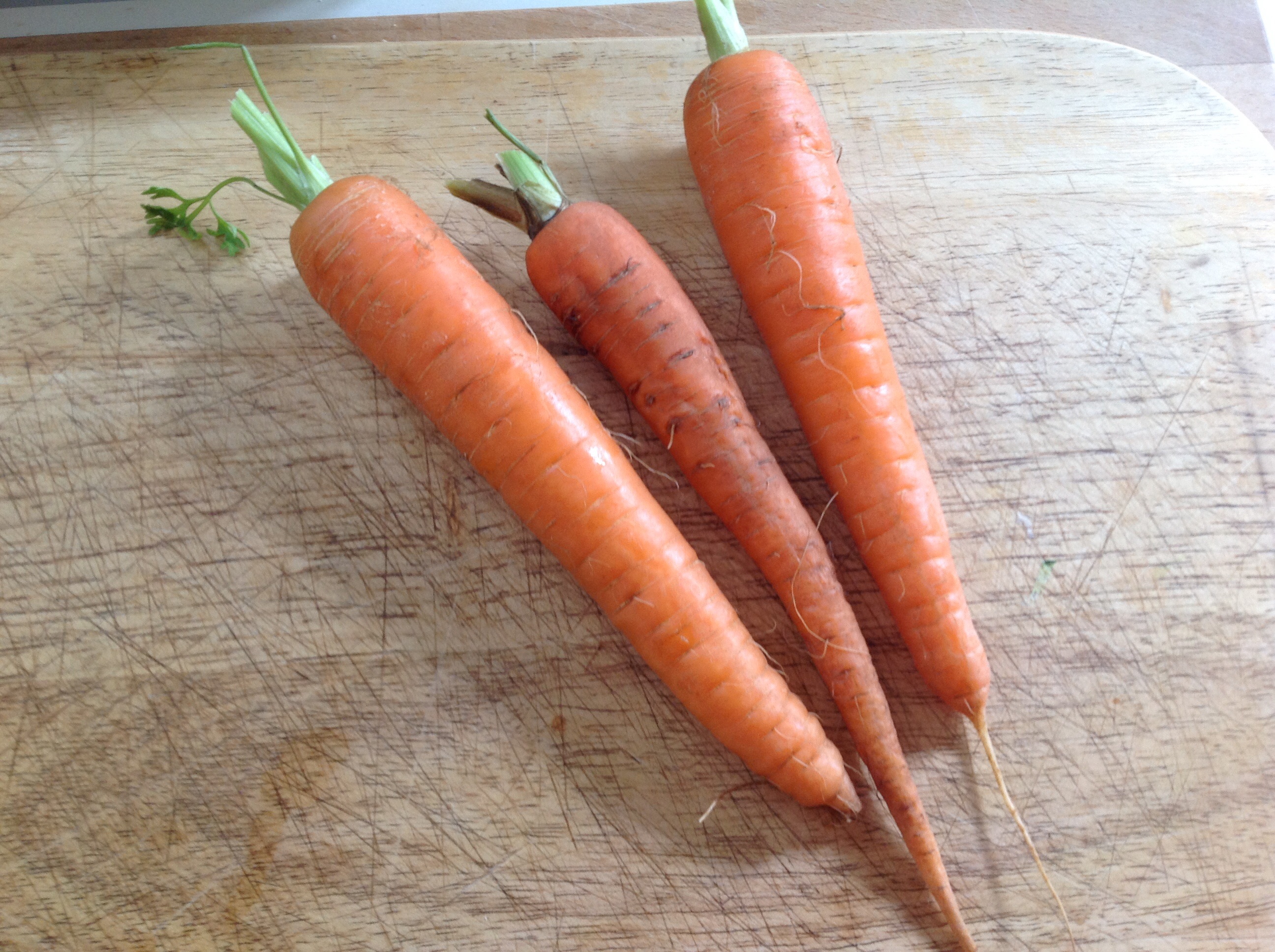 Organic carrots trimmed
