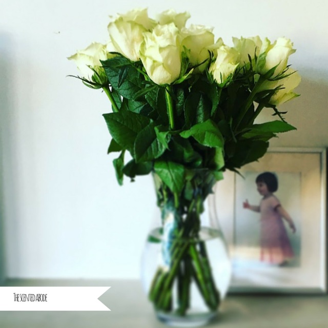 White long stemmed roses