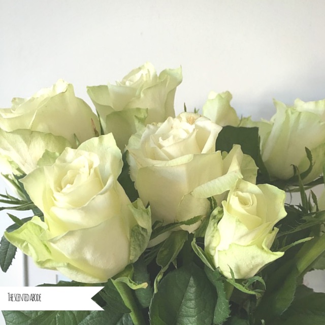 White roses