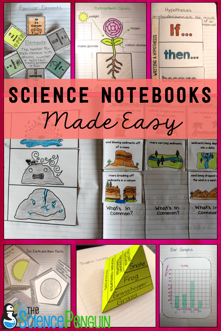 interactive science lessons for elementary students