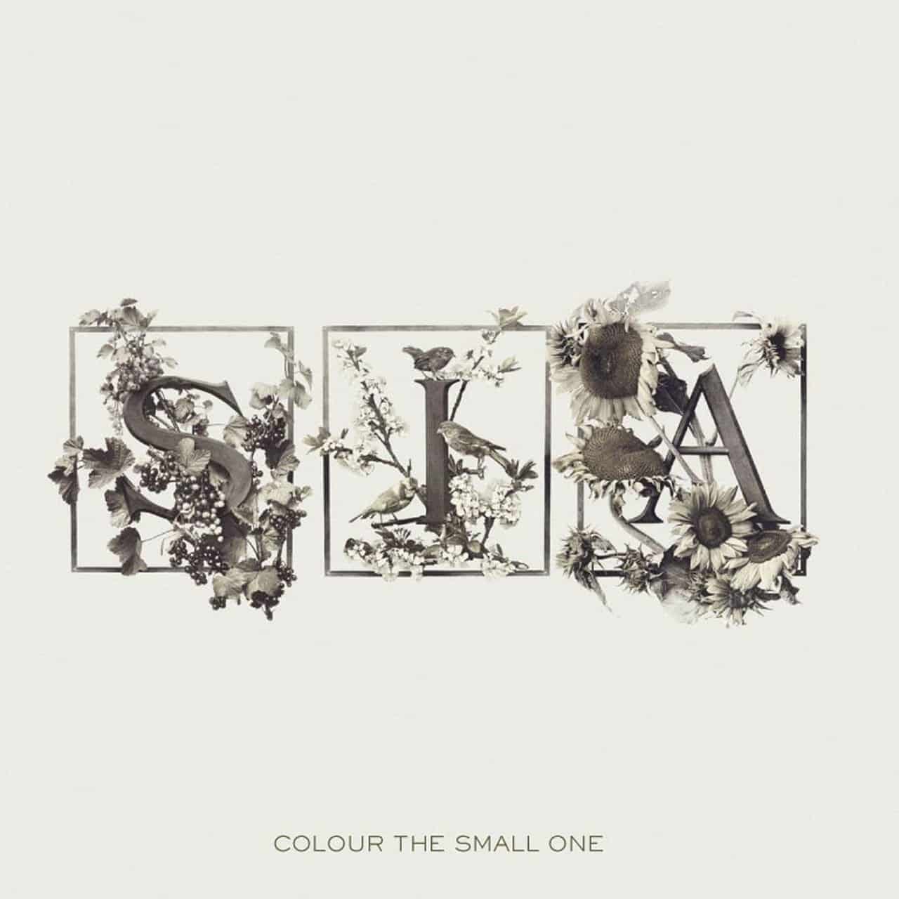 Sia-Colour-the-Small-One.jpg?