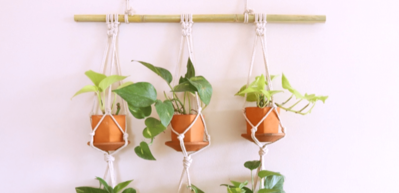 Creative Fabrica Finds: 10 Gorgeous Projects For You To Try