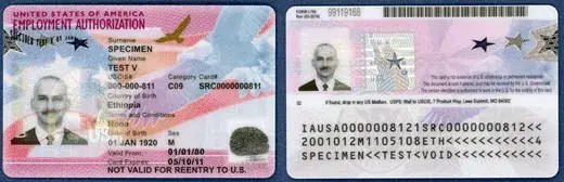 Employment Authorization Document (EAD) specimen card featuring a photo, personal details, and U.S. flag design, representing temporary work authorization for foreign nationals in the United States.