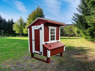 mini coop chicken coops usa text call info shed yard