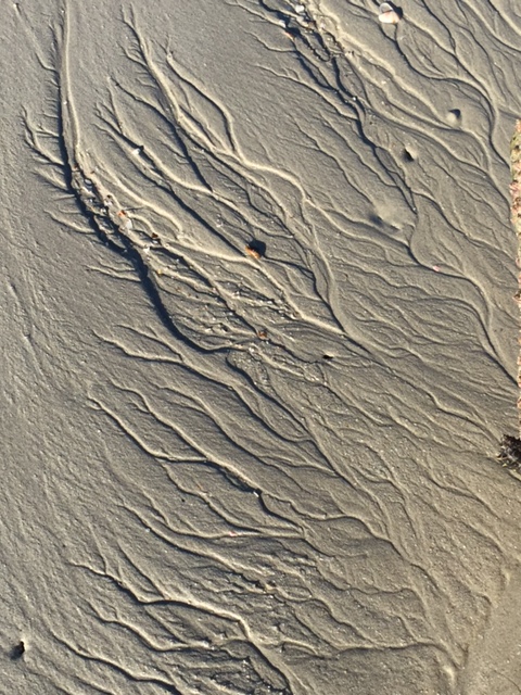 IMG_7347