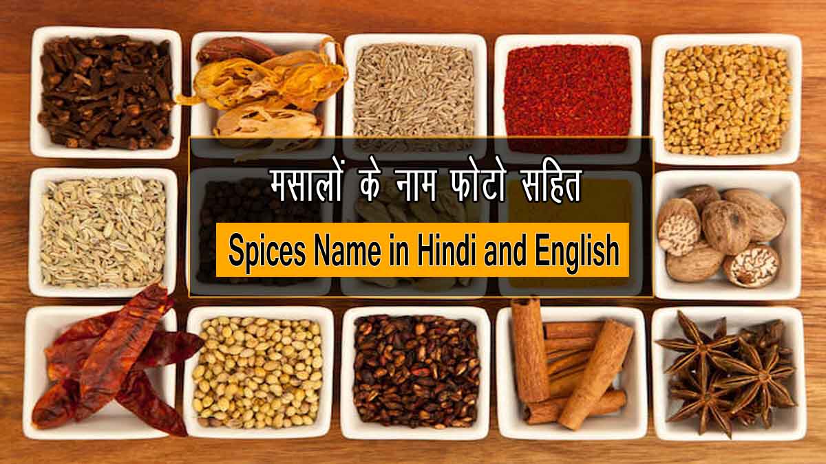 picture Indian Spices Hindi Garam Masala Ke Naam 100 मस ल ठन म फ ठसह त masalo ke naam with photo