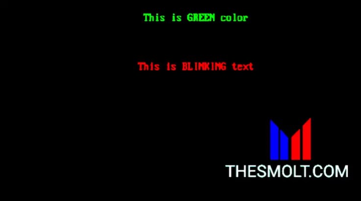 C Programming code for blinking Text