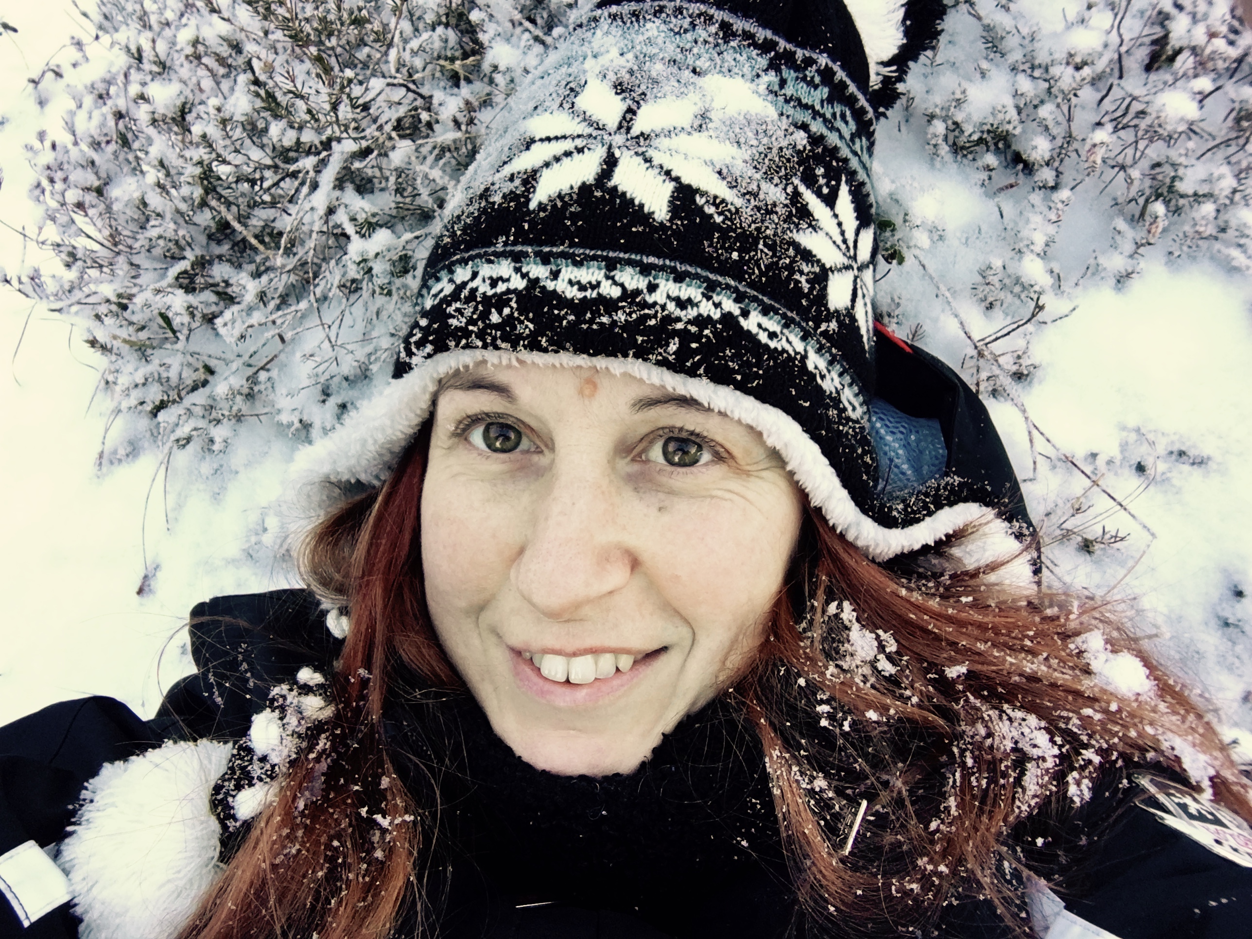 Snowbetta