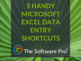Microsoft Excel 5 Handy Data Entry Tips The Software Pro