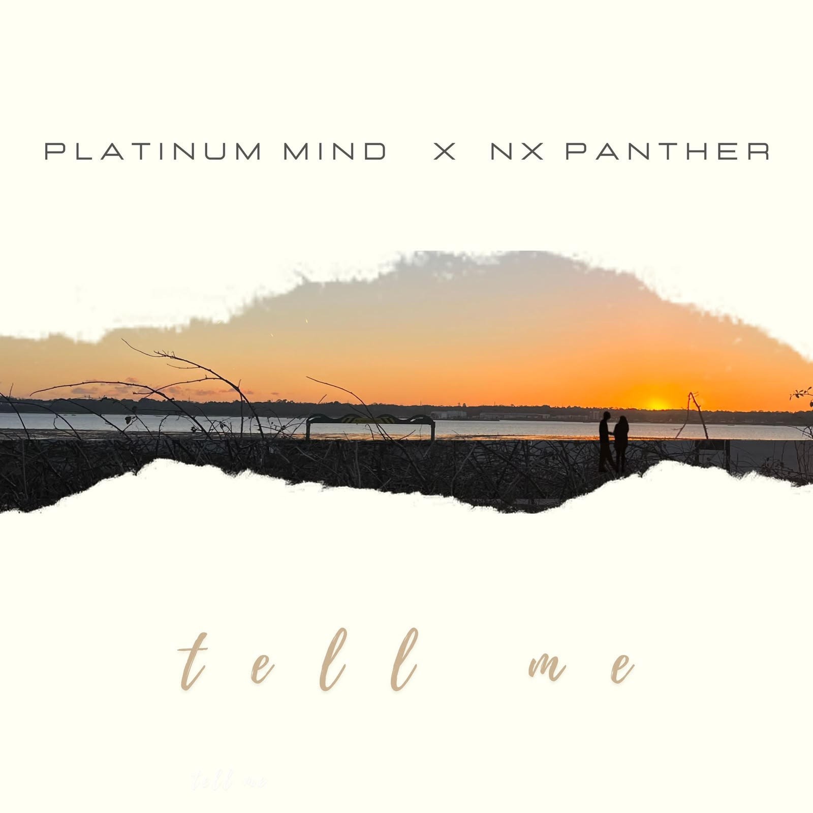 PLATINUM MIND x NX PANTHER – RELEASE COLLABORATIVE SINGLE – TELL ME