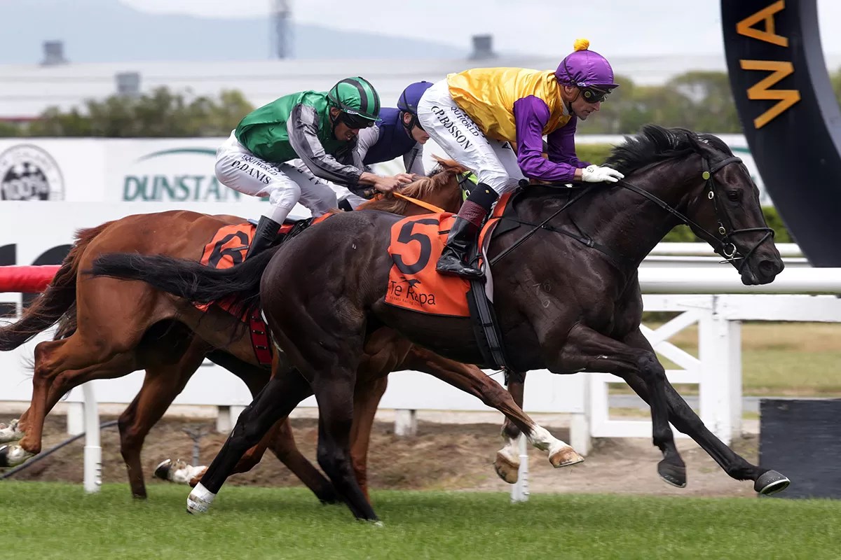 Elephant to make his Australian debut at Caulfield