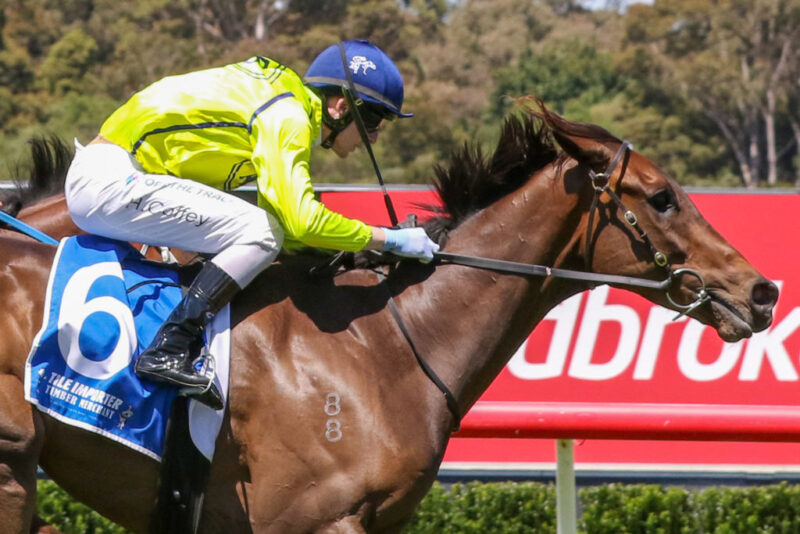 Black Book Horses You Must Follow From Sandown 10/12 The Sporting Base