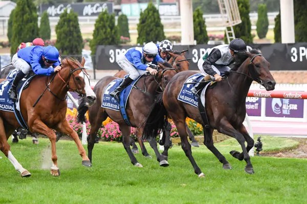 Melbourne Racing Tipping Competition | The Sporting Base
