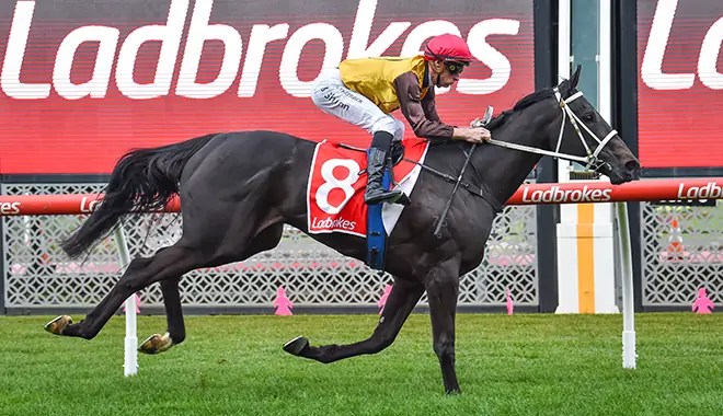 FOXY CLEO SET FOR CRANBOURNE CUP