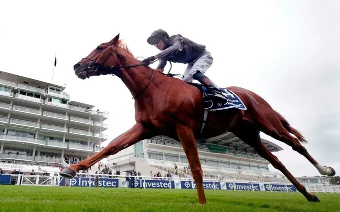 EASIER TARGET FOR STAYER