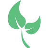 sprout