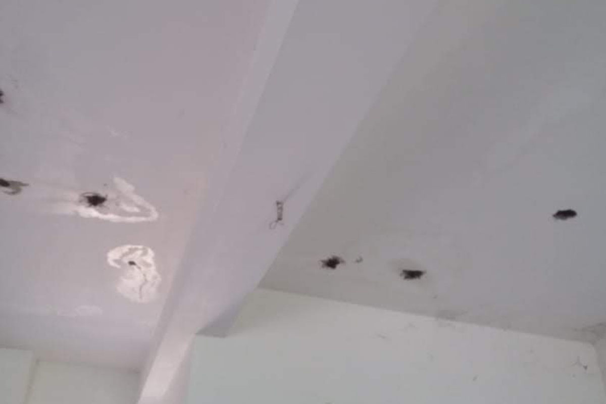 Read more about the article Why is damp proofing treatment highly recommended inside the wall of the flat before plastering?