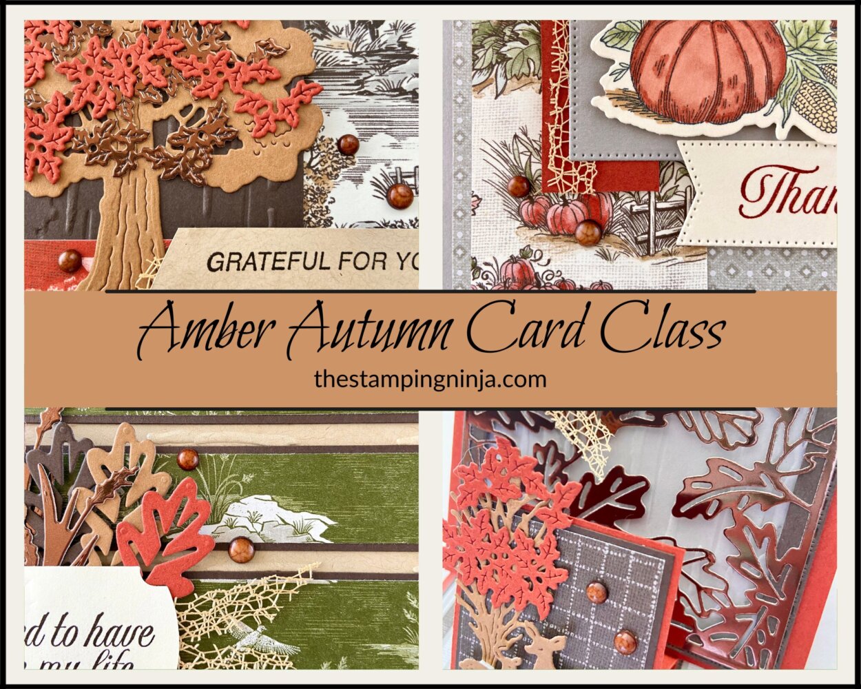 Amber Autumn Kit to Go Class
