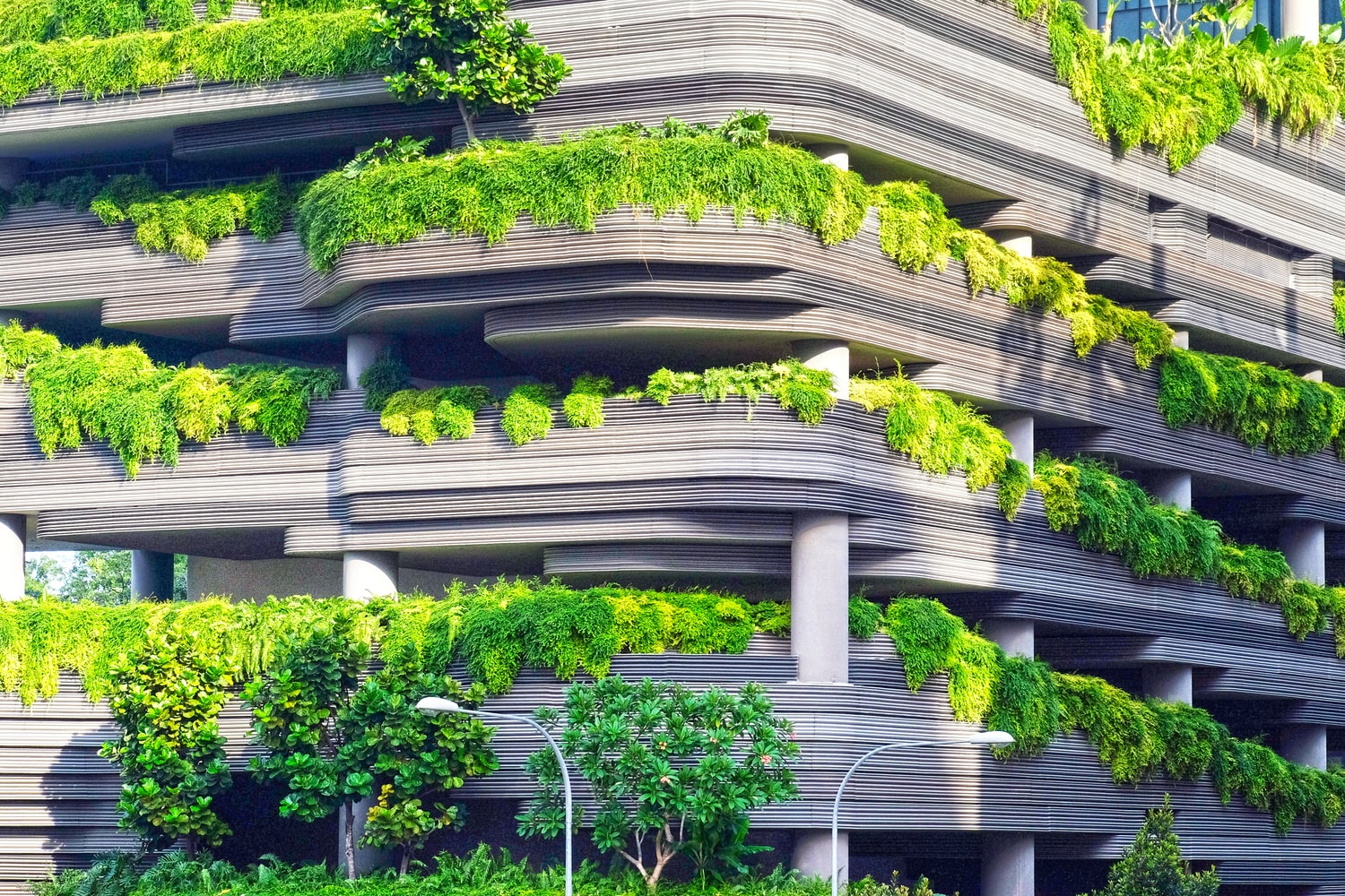 The Architecture of Civil Society
