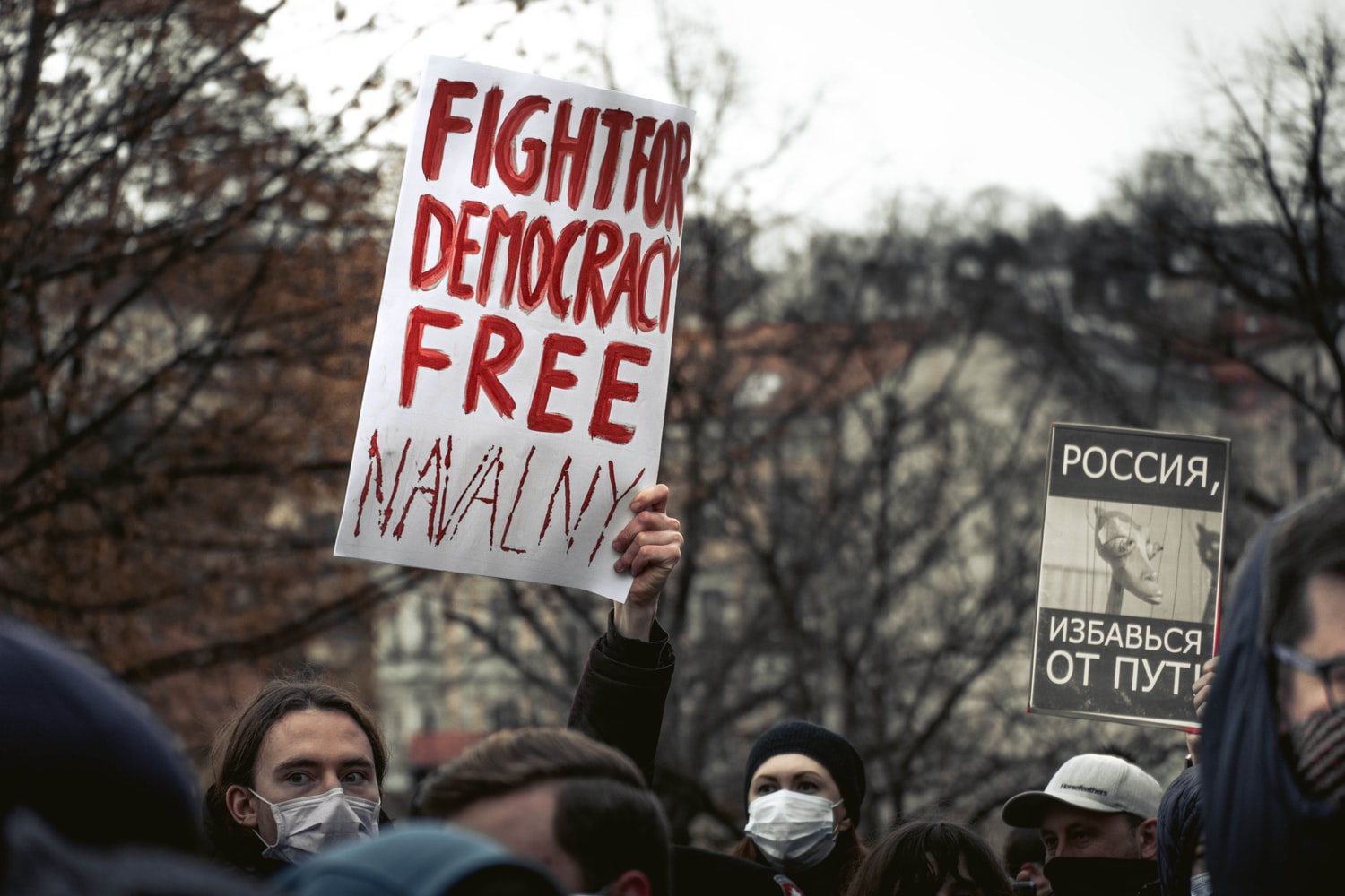 Navalny and the Russian Protests