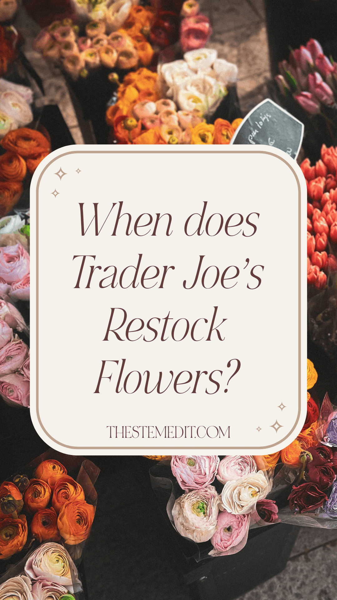 when does trader joes restock flowers