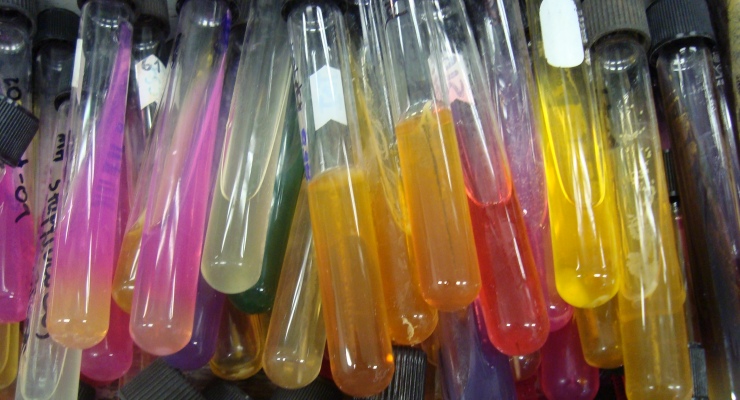 Where to Get STI/STD Testing - Private Options - The STI Project
