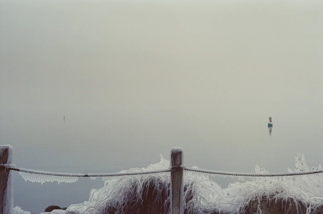 An expanse of water lies beyond a rope bridge