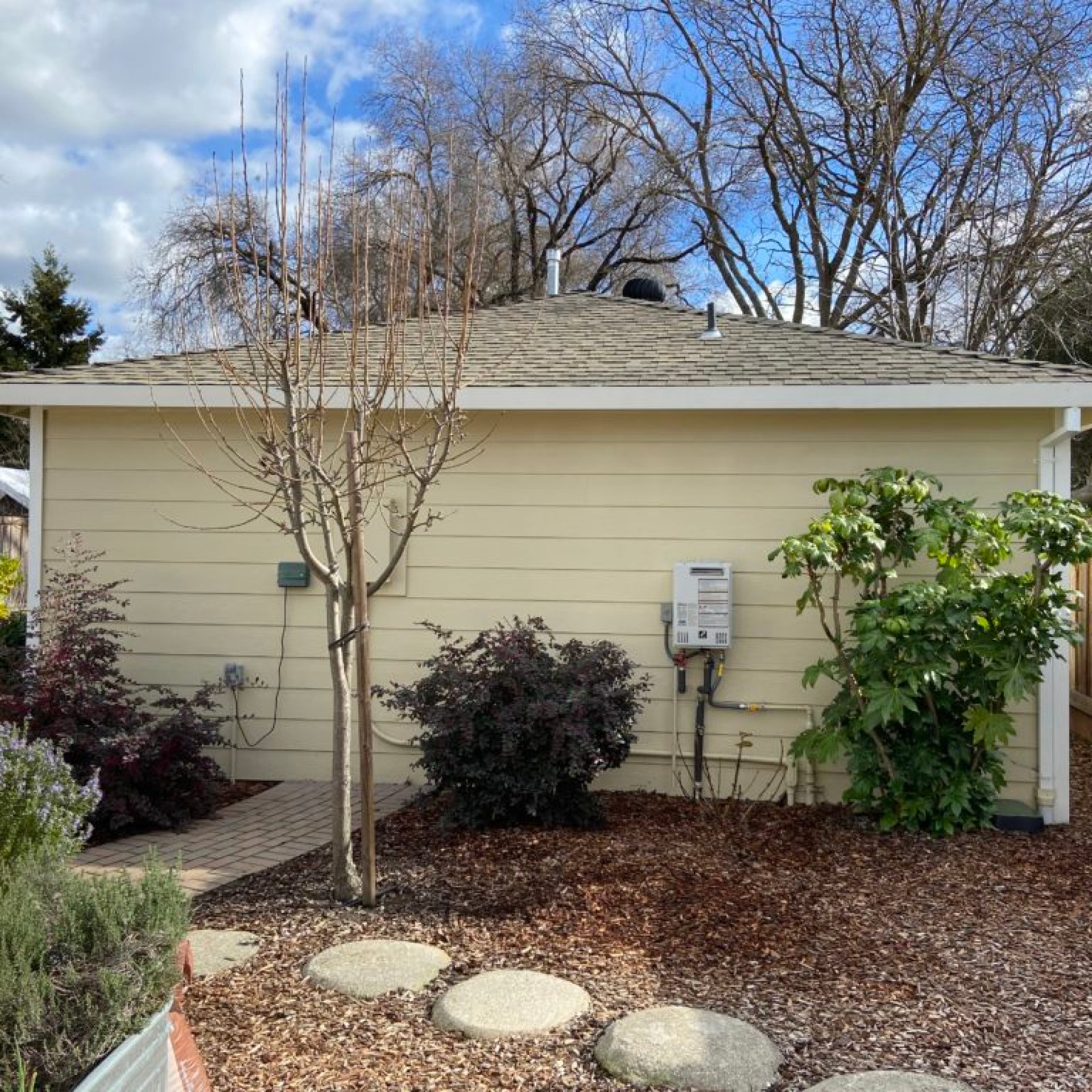 North ADU wall after renovation with new siding and landscaped yard
