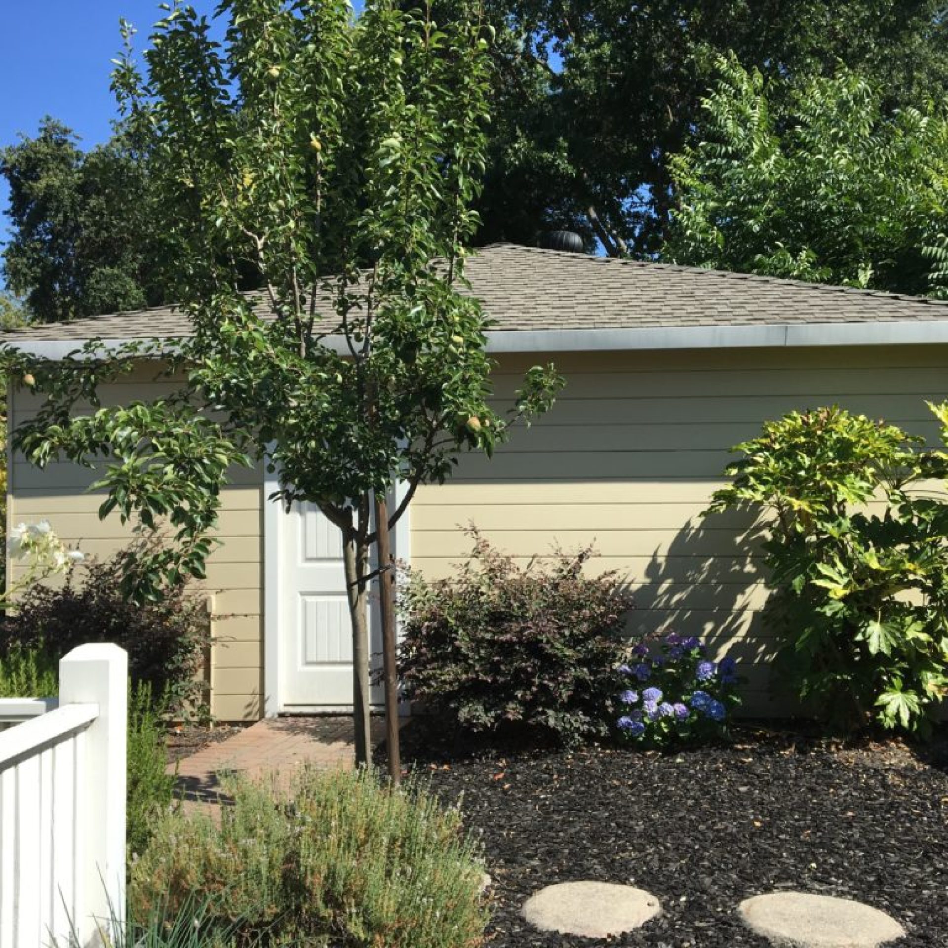 North garage wall before renovation with picket fence and garden beds