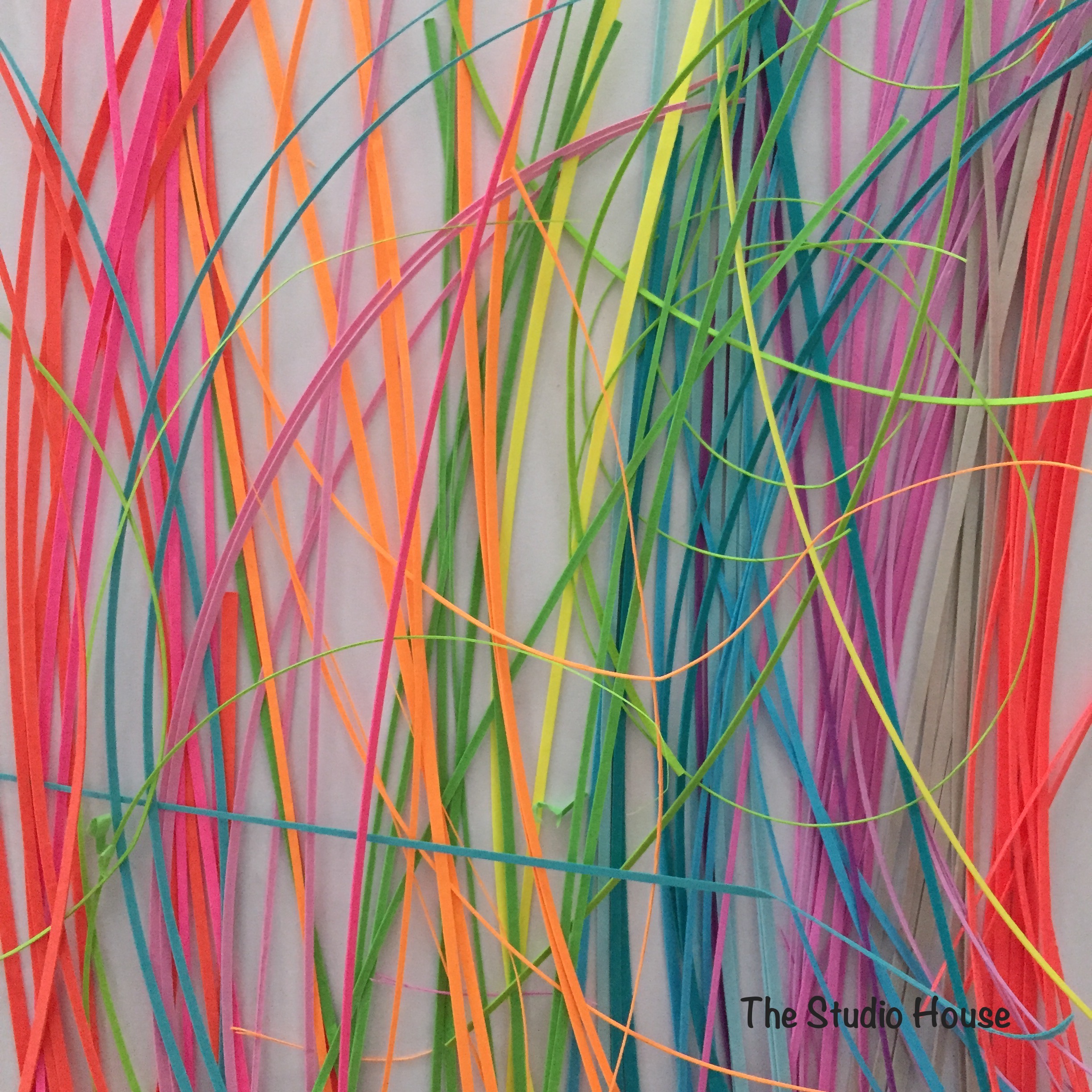 photographed paper scraps