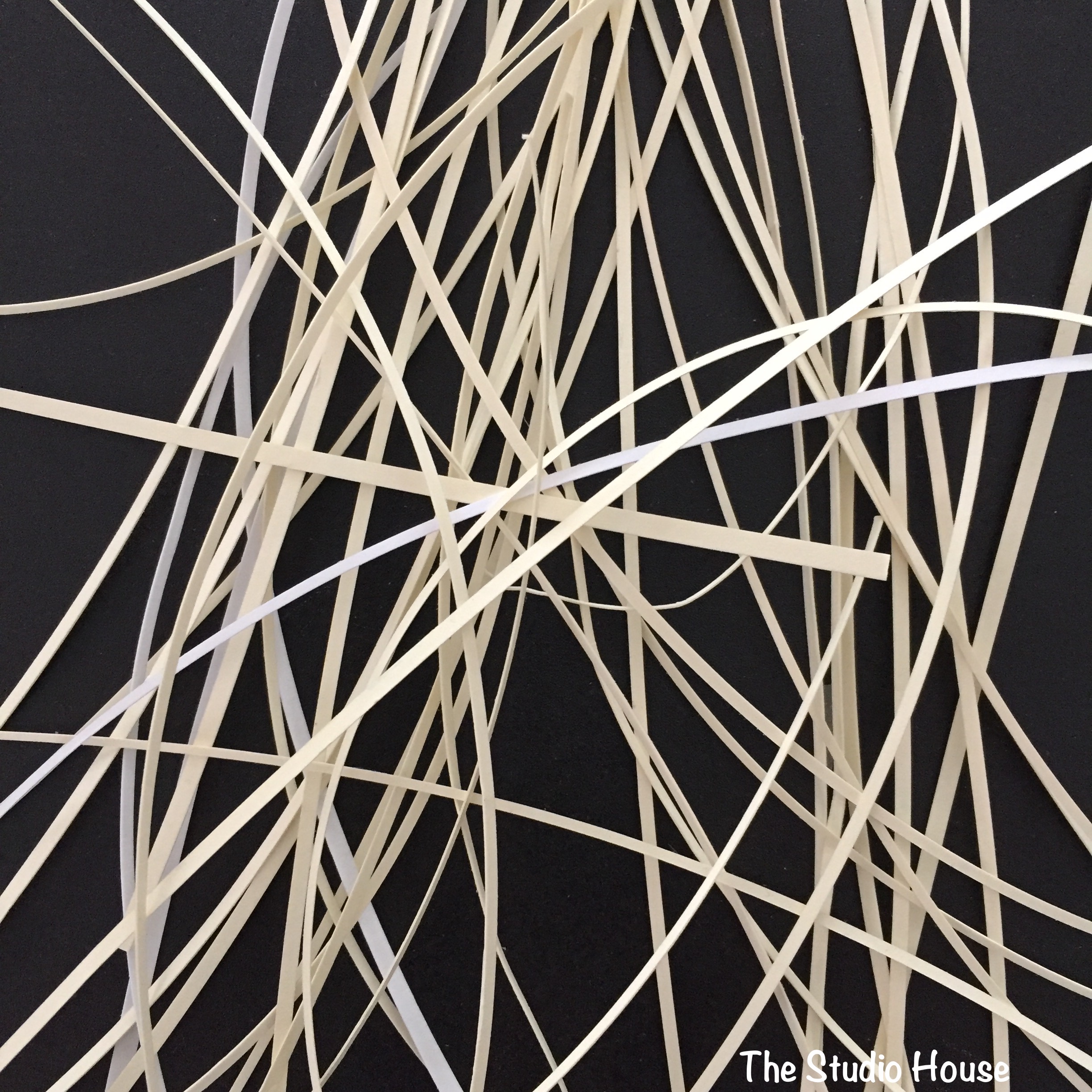 photographed paper scraps