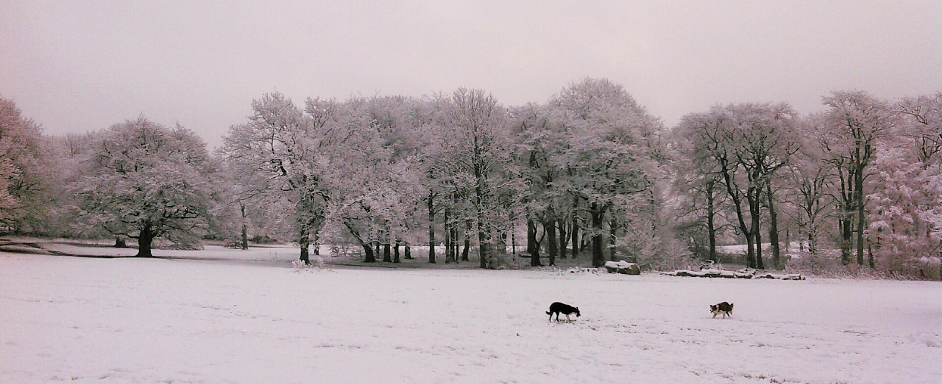 Winter Retiring Retirement Blog About Cold Weather