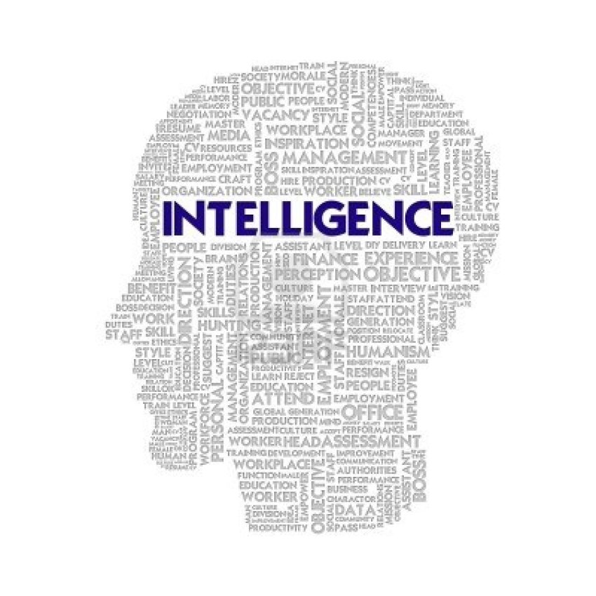 intelligence